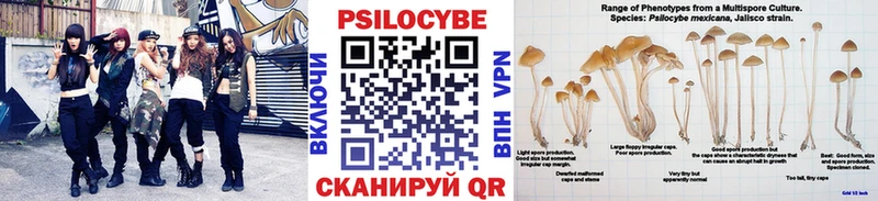 Галлюциногенные грибы прущие грибы Райчихинск